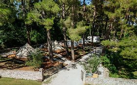 Camp 'Dvor' Bell Tent Accommodation